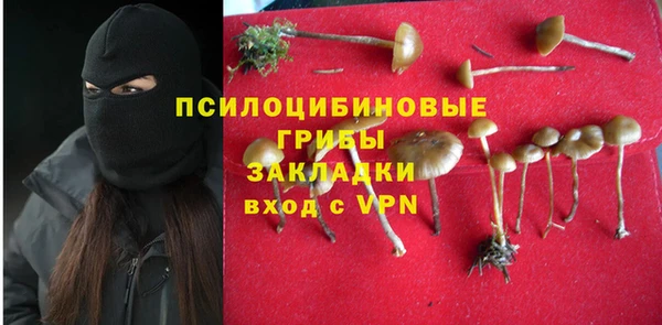 первитин Балахна