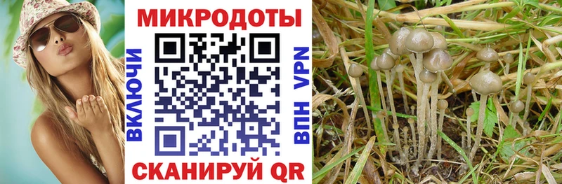 сколько стоит  Никольск  Псилоцибиновые грибы ЛСД 